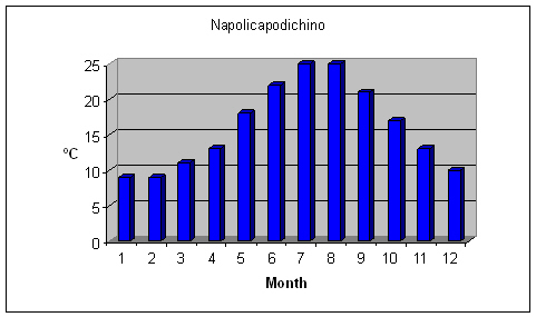 Napolicapodichino weather