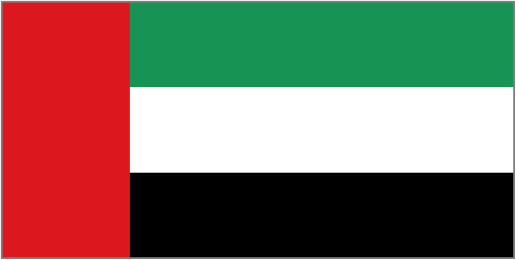 United Arab Emirates Flag